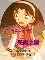 名侦探柯南之恶魔之翼