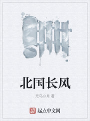 北国长风